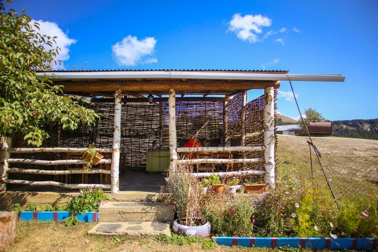 Guest House Old Omalo ภายนอก รูปภาพ